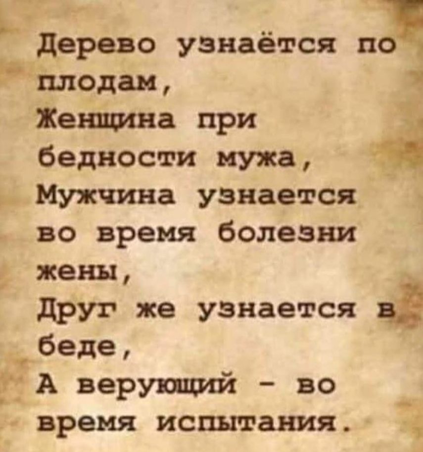 дерево узнается и Рнлодам і Женщина при Т бедности мужа і Мужчина узнается во время болезни жены друг же узнается беде _ А верующий во время испытания
