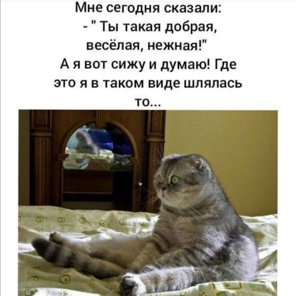 Мне сегодня сказали Ты такая добрая весёлая нежная А я вот сижу и думаю Где это я в таком виде шлялась