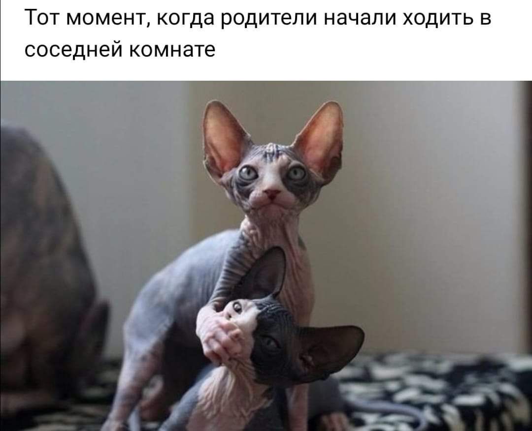 ТОТ МОМЭНТ когда родители НЭЧЭЛИ ХОДИТЬ В соседней комнате