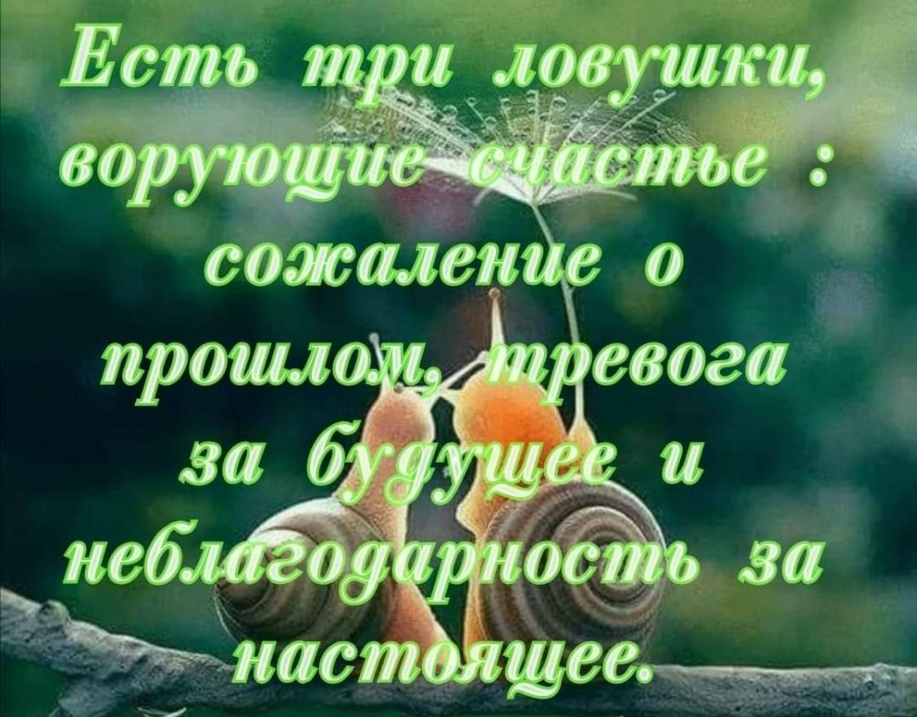 ти ЛМММ _