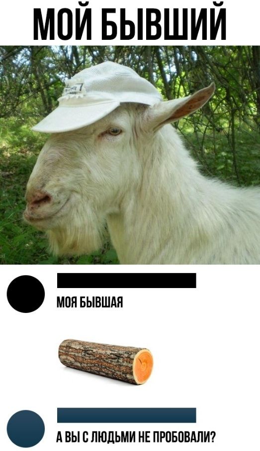 _ А вы слюдьми нв прпвпвллт