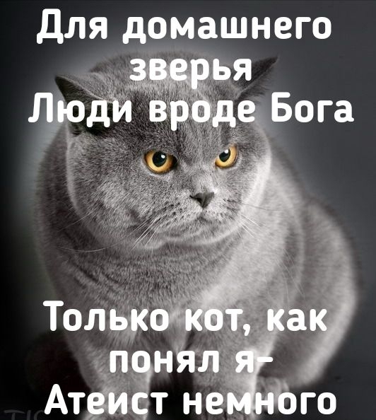 Для домашнего я