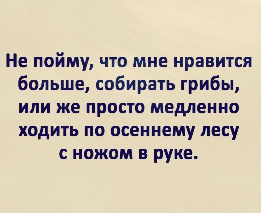 Не пойму что мне нравится больше собирать грибы или же просто медленно ходить по осеннему лесу с ножом в руке