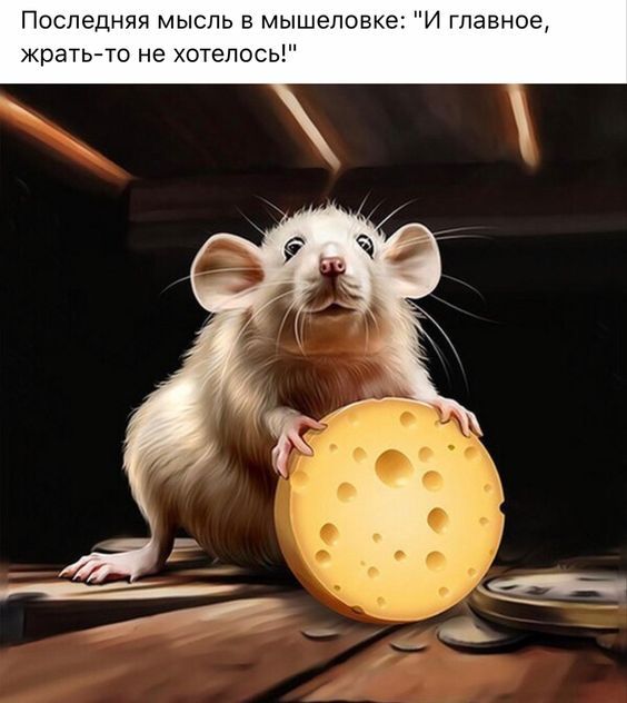 Последняя мысль в мышеловке И главное жрать то не хотелось
