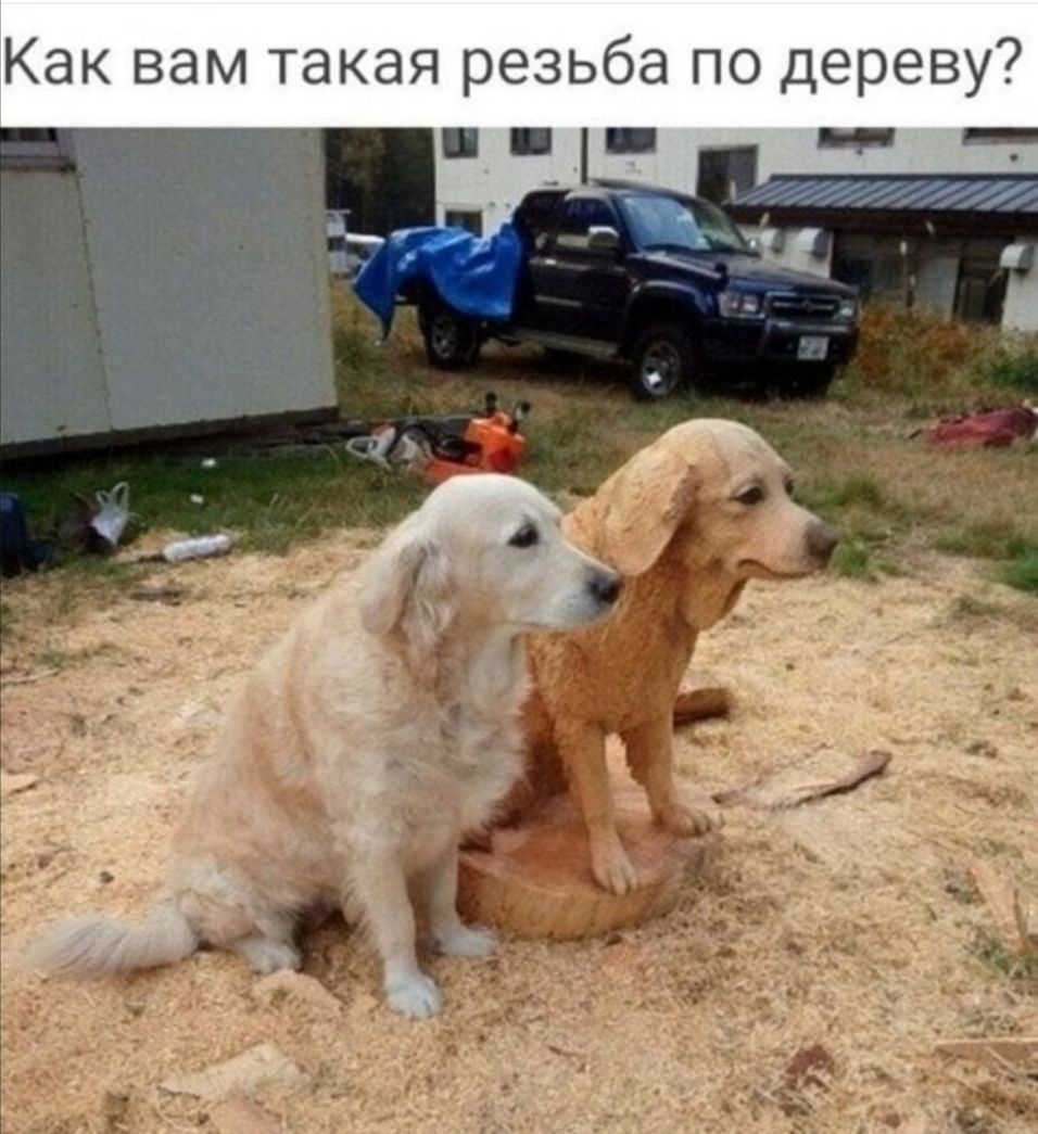 Как вам такая резьба по дереву ц ч