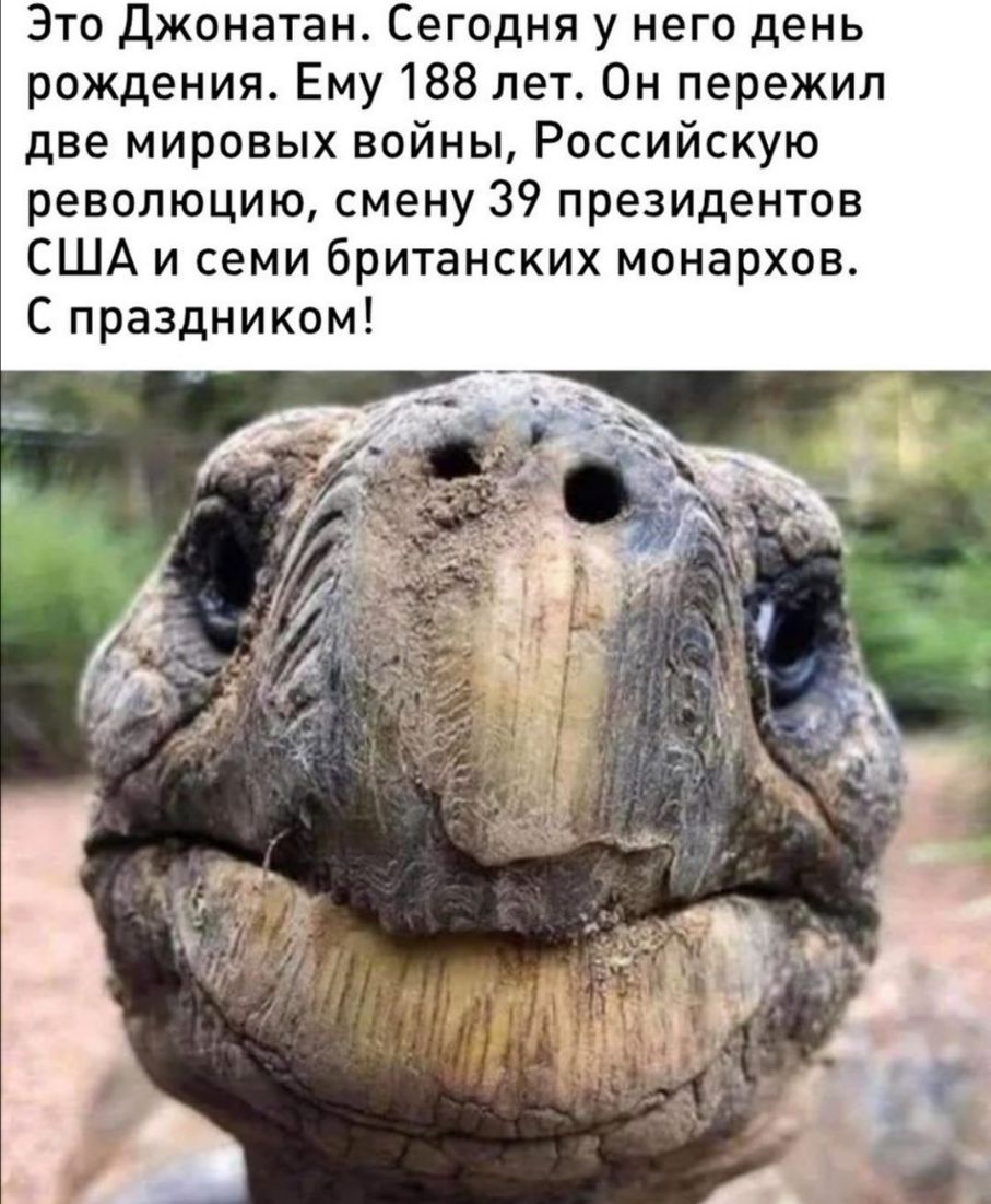 Это Джонатан Сегодня у него день рождения Ему 188 лет Он пережил две мировых войны Российскую революцию смену 39 президентов США и семи британских монархов С праздником