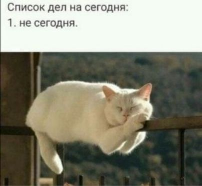 Список дел на сегодня 1 не сегодня