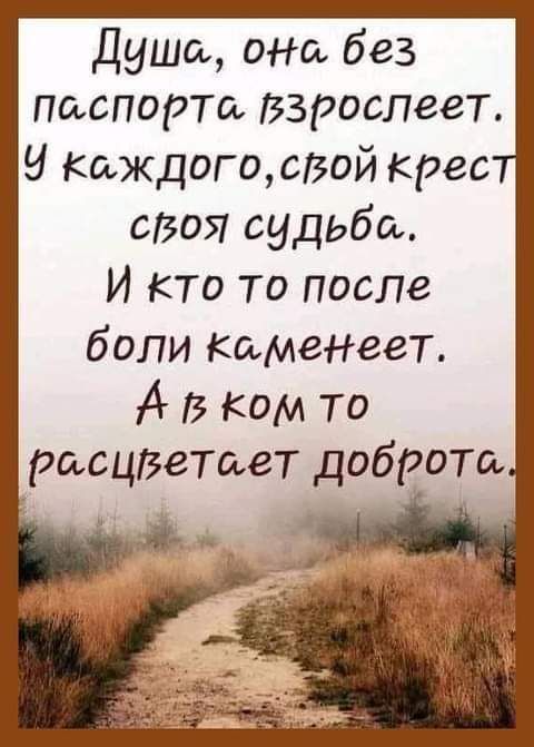 Душа она без Паспорта взрослеет Каждогощвой крео своя судьба И кто то после боли Каменев г А В ком то расцВетает доброта