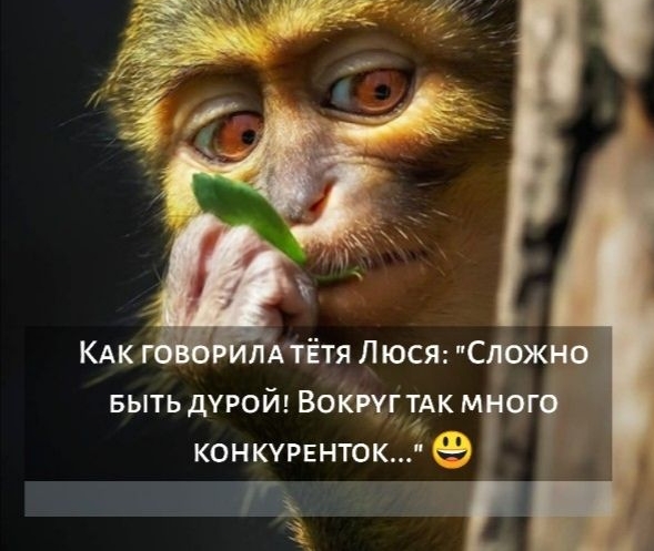 КАК БЫТЬ ДУРОЙ ВОКРУГТАК М ЧГ конкурвнток