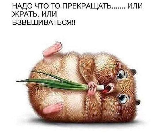 НАДО ЧТО ТО ПРЕКРАЩАТЬ ИЛИ ЖРАТЬ ИЛИ ВЗВЕШИВАТЬСЯЦ
