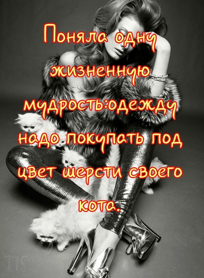 Жи А онаігёдж ЁИ3Н3Ы и