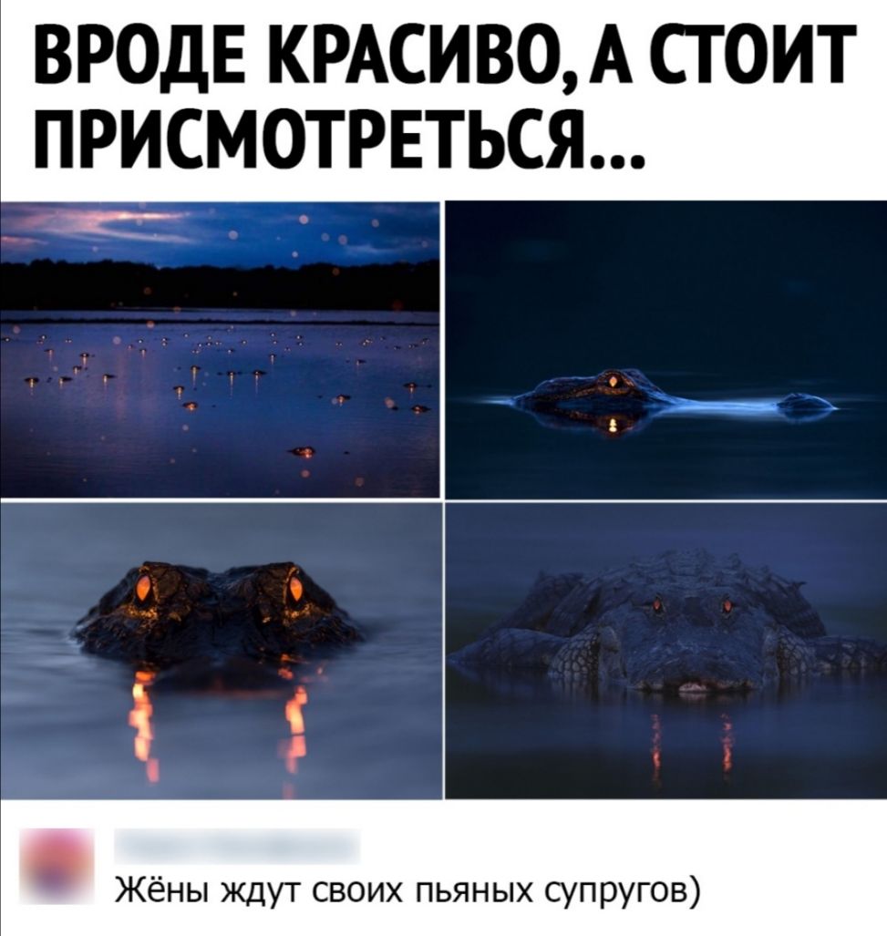 ВРОДЕ КРАСИВО А СТОИТ ПРИСМОТРЕТЬСЯ Жёны ждут своих пьяных супругов