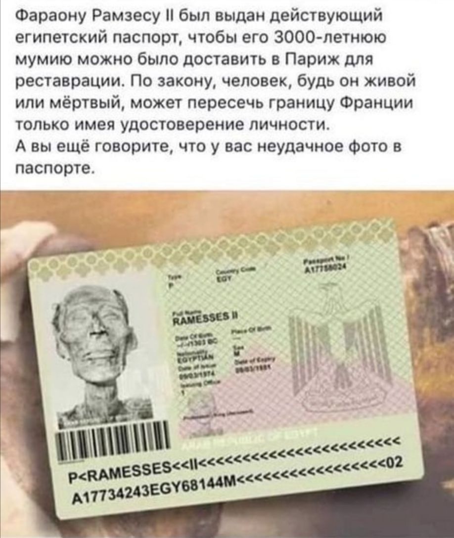 Фараону Рамзесу был выдан действующий египетский паспорт чтобы его ЗООО летнюю мумию можно было доставить в Париж для реставрации По закону человек будь он живой или мёртвый может пересечь границу Франции только имея удостоверение личности А вы ещё говорите что у вас неудачное Фото в паспорте