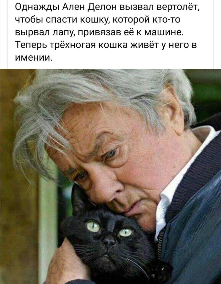 Однажды Ален Делон вызвал вертолёт чтобы спасти кошку которой кто то вырвал лапу привязав её к машине Теперь трёхногая кошка живёт у него в имении