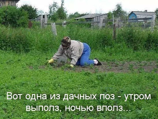 ВОТ ОДНЗ ИЗ ДаЧНЫХ ПОЗ УТРОМ ВЫПОПЗ НОЧЬЮ ВПОП3