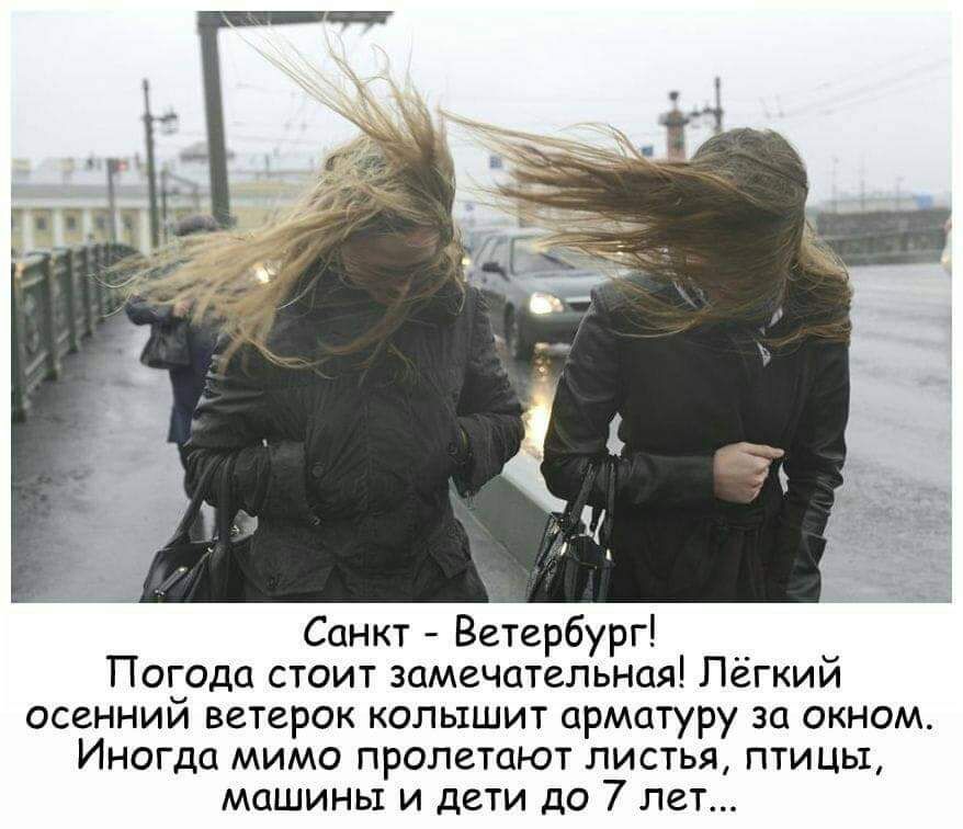 Санкт Ветербург Погода стоит замечательная Лёгкий осенний ветерок колышит арматуру за окном Иногда мимо пролетают листья птицы машины и дети до 7 лет
