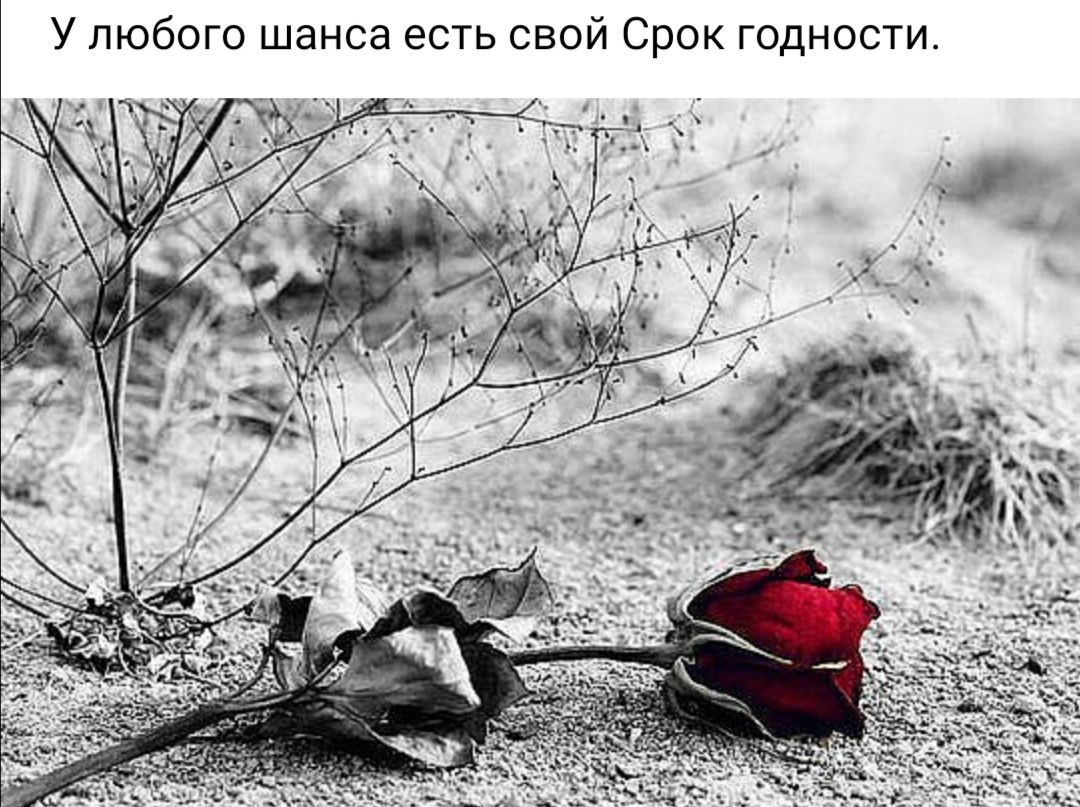 У любого шанса есть свой Срок годности