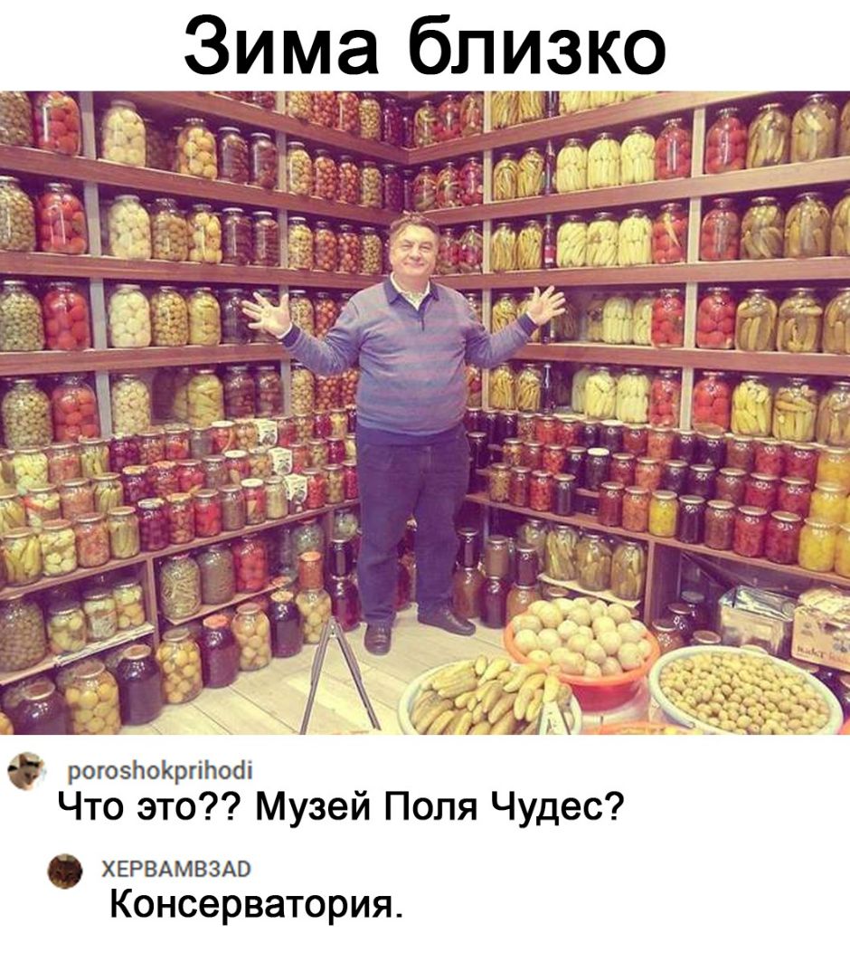 рогозЬоКргіЬобі Что это Музей Поля Чудес ХЕРВАМВЗАО Консерватория