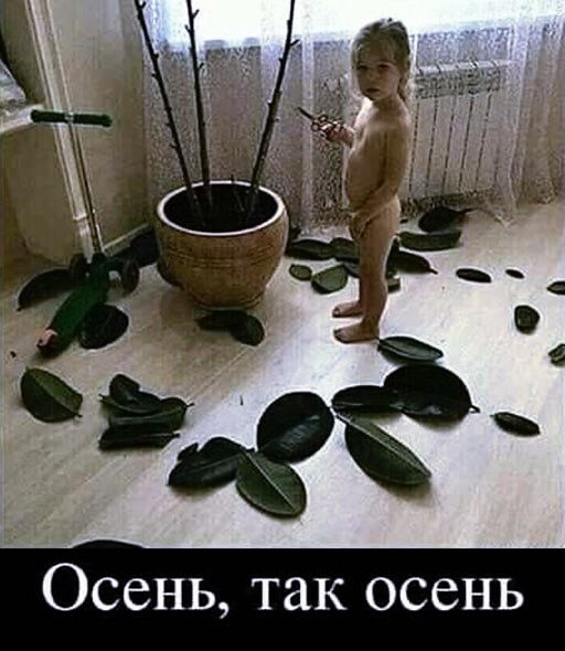 Осень так осень
