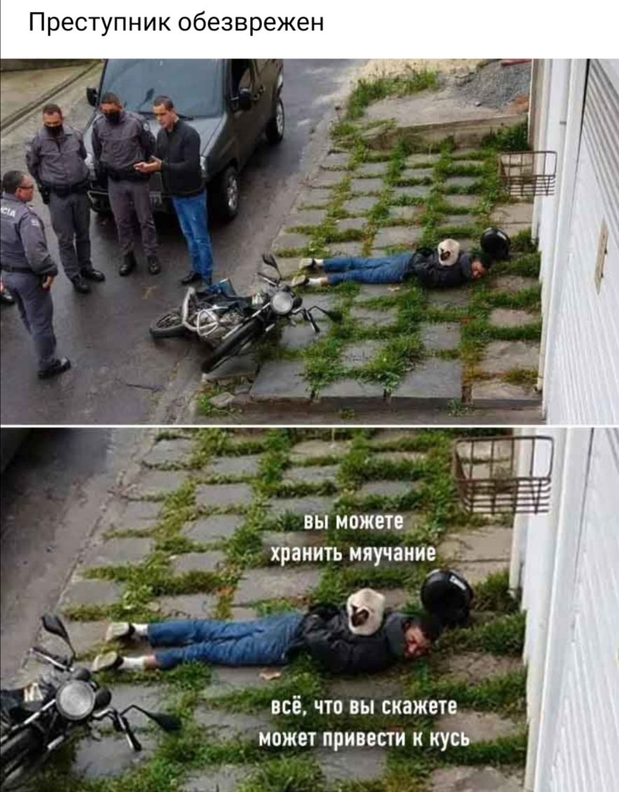 Преступник обезврежен ВСЁ ЧТО ВЫ скажете А МОЖЕТ ПРИВЕСТИ К КУСЪ