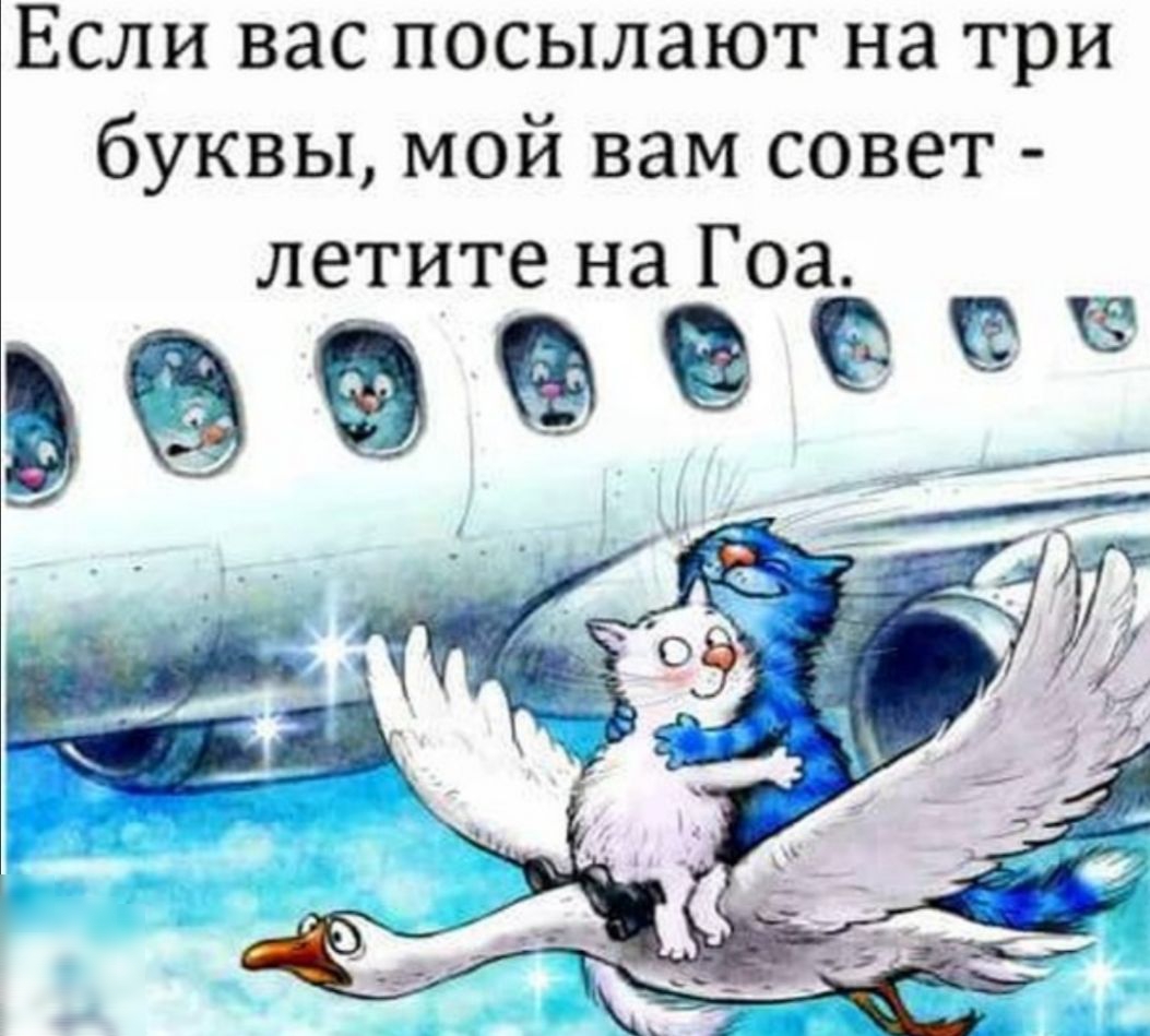 Если вас посылают на три буквы мой вам совет летите на Гоа