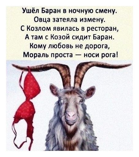 Ушёл Баран в ночную смену Овца затеяла измену С Козлом явилась в ресторан А там с Козой сидит Баран Кому любовь не дорога Мораль проста носи рога