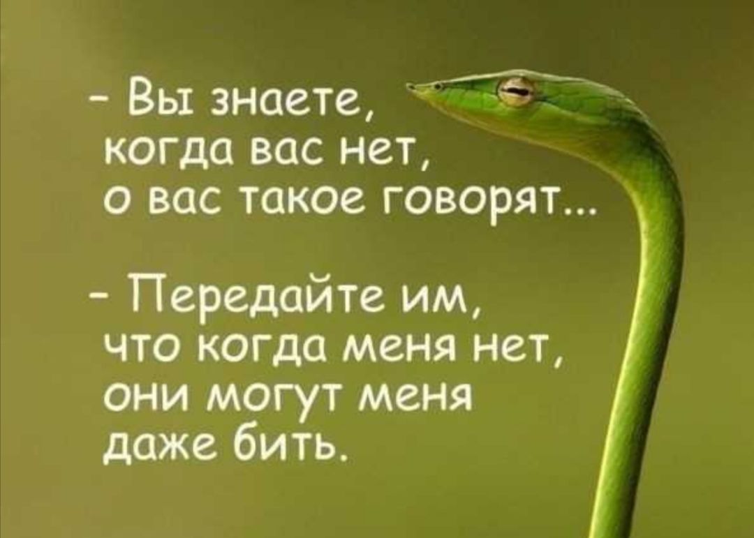 Вы знаете когда вас нет о вас такое говорят Передайте им что когда меня нет они могут меня даже бить