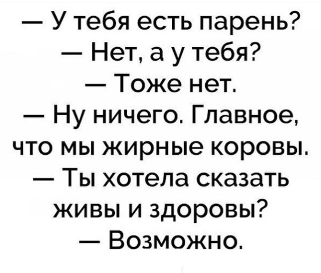 У тебя есть парень Нет а у тебя Тоже нет Ну ничего Главное что мы жирные коровы Ты хотела сказать живы и здоровы Возможно