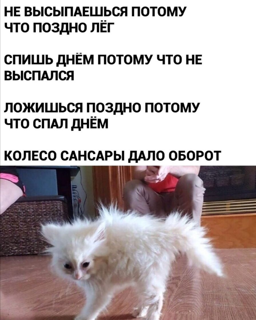 НЕ ВЫСЫПАЕЩРСЯ ПОТОМУ ЧТО ПОЗДНО ЛЕГ СПИШЬ дНЁМ ПОТОМУ ЧТО НЕ ВЫСПАЛСЯ ЛОЖИШЬСЯ ПОЗДНО ПОТОМУ ЧТО СПАЛ дНЕМ КОЛЕСО САНСАРЫ дАЛО ОБОРОТ