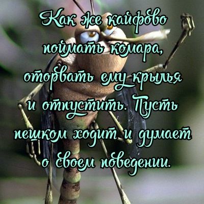 пошить кфщра ёМОЁбатъ и отиёзтитьг Тусть _ _ иещко ж итм лает 3 39 0 6094 иёбезеиии Я