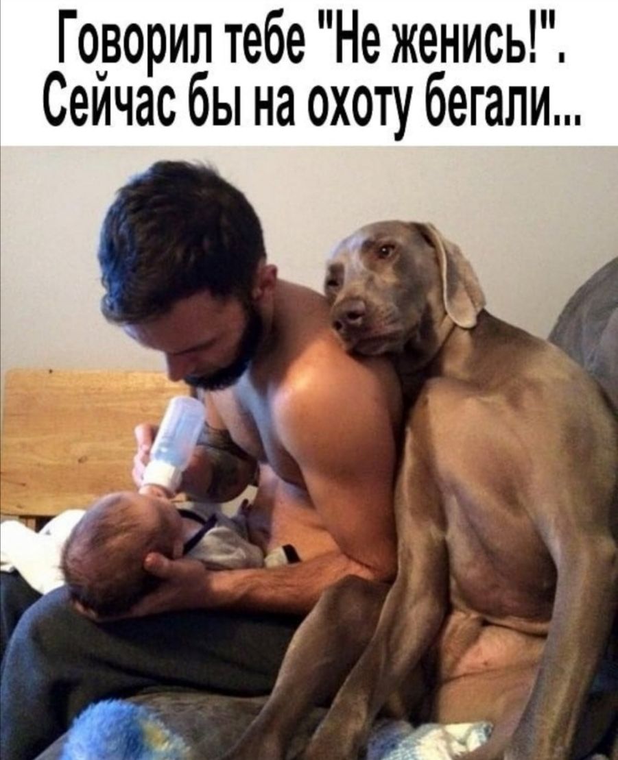 Горорил тебе Не женись Сеичас бы на охоту бегали