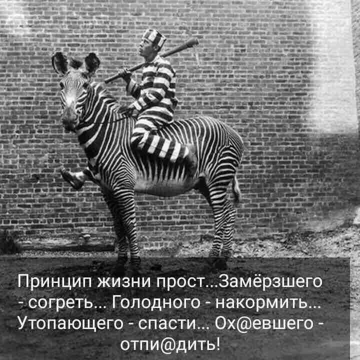 Принцип жизни прост3амёрзшего согреть Голодного накормить Утопающего спасти Охевщего отпидить