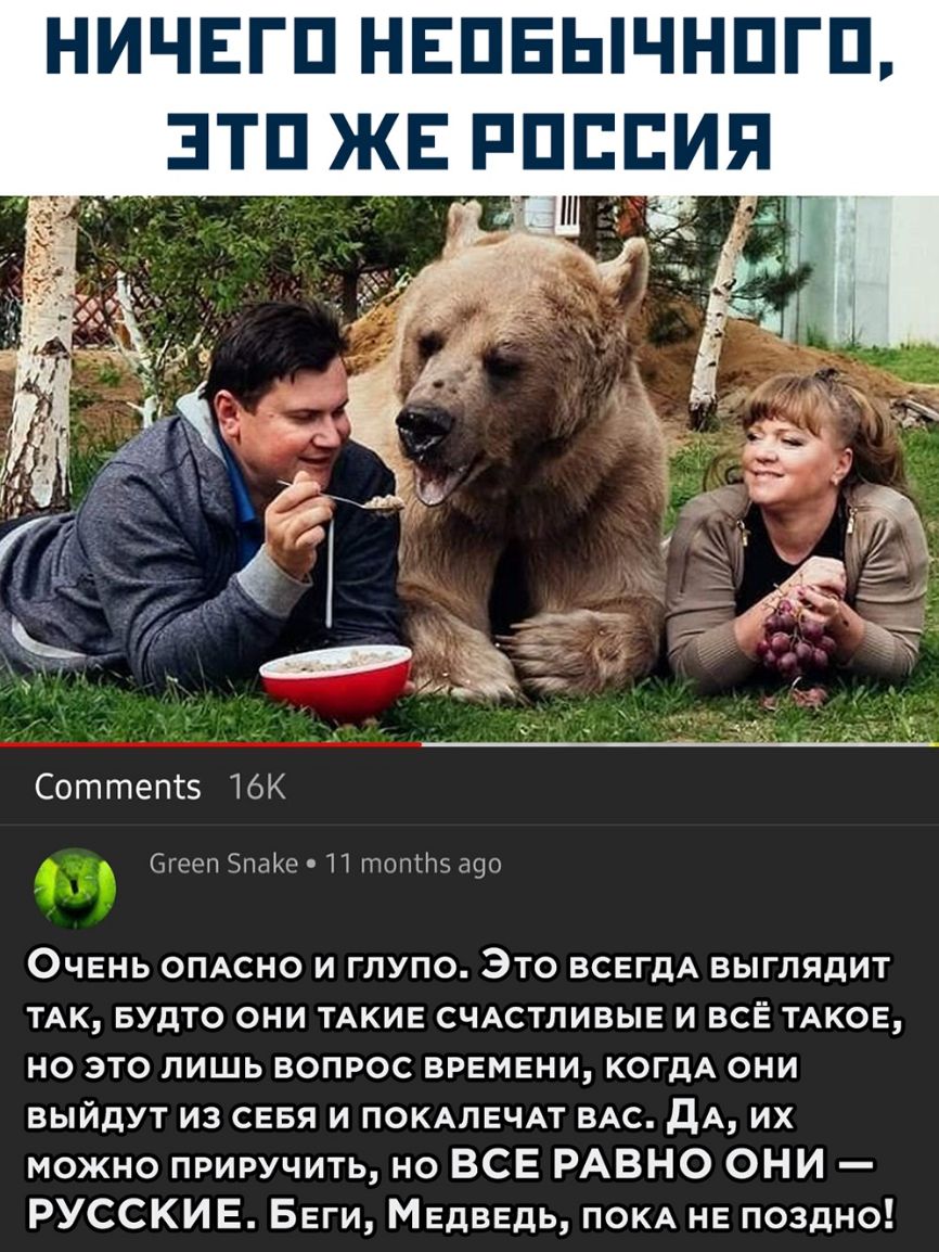 НИЧЕГП НЕПЕЫЧНПГП Соттепгз 16К Огееп 5паКе П топгпэ а90 Очень ОПАСНО и глупо Это ВСЕГДА выглядит ТАК БУдТО они ТАКИЕ СЧАСТЛИВЫЕ и всЁ ТАКОЕ но это лишь вопрос врвмвни КОГДА они выйдут из СЕБЯ и ПОКАЛЕЧАТ ВАС дА их можно приручить но ВСЕ РАВНО ОНИ РУССКИЕ Беги МЕдВЕдь ПОКА НЕ поздно
