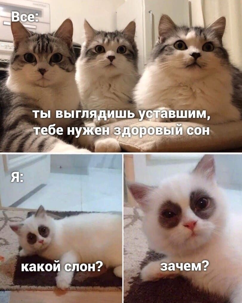 Ё ТЫ ВЫ ГЛ ль _