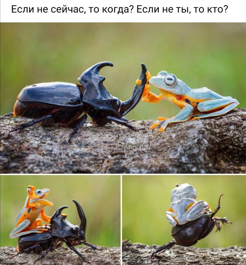 Если не сейчас то ког а Если не ты то кто