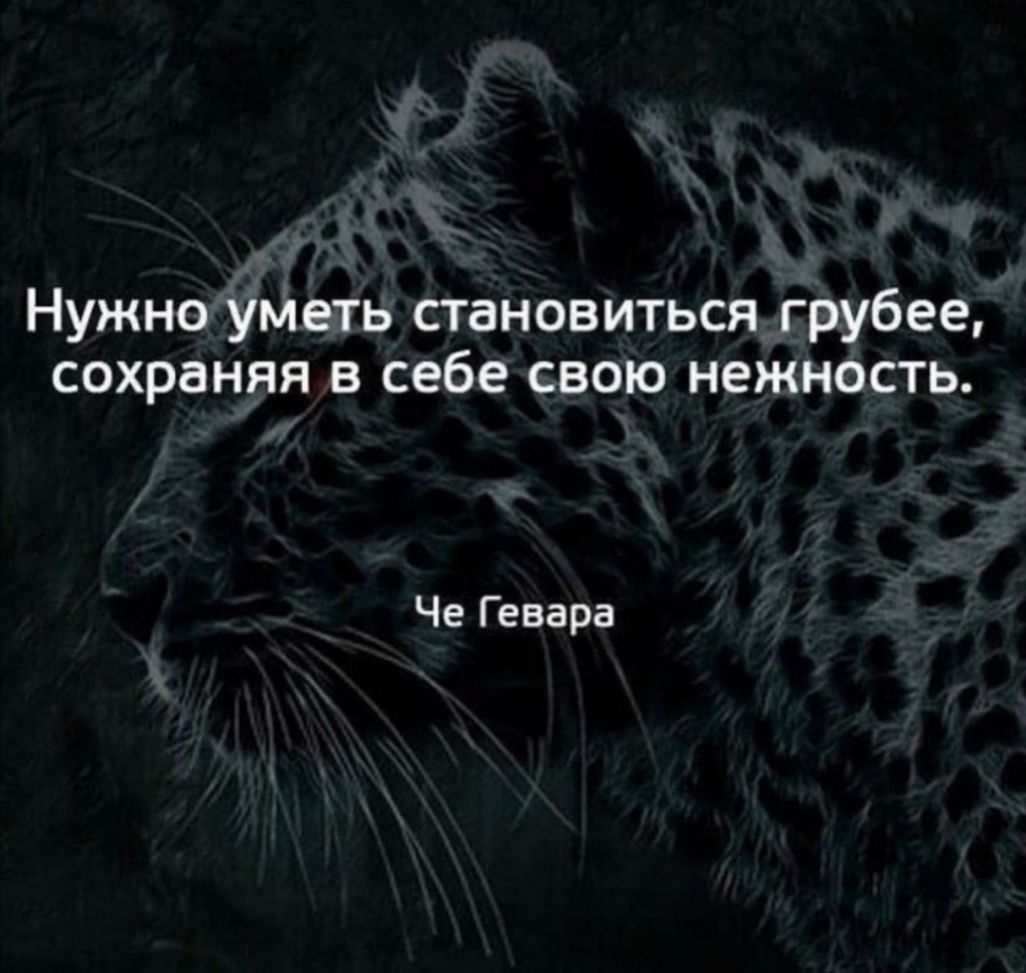 Нужно уметь становиться грубее сохраняя в себе свою нежность Че Гевара