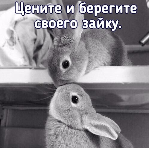 Цениётдм 6ерегите
