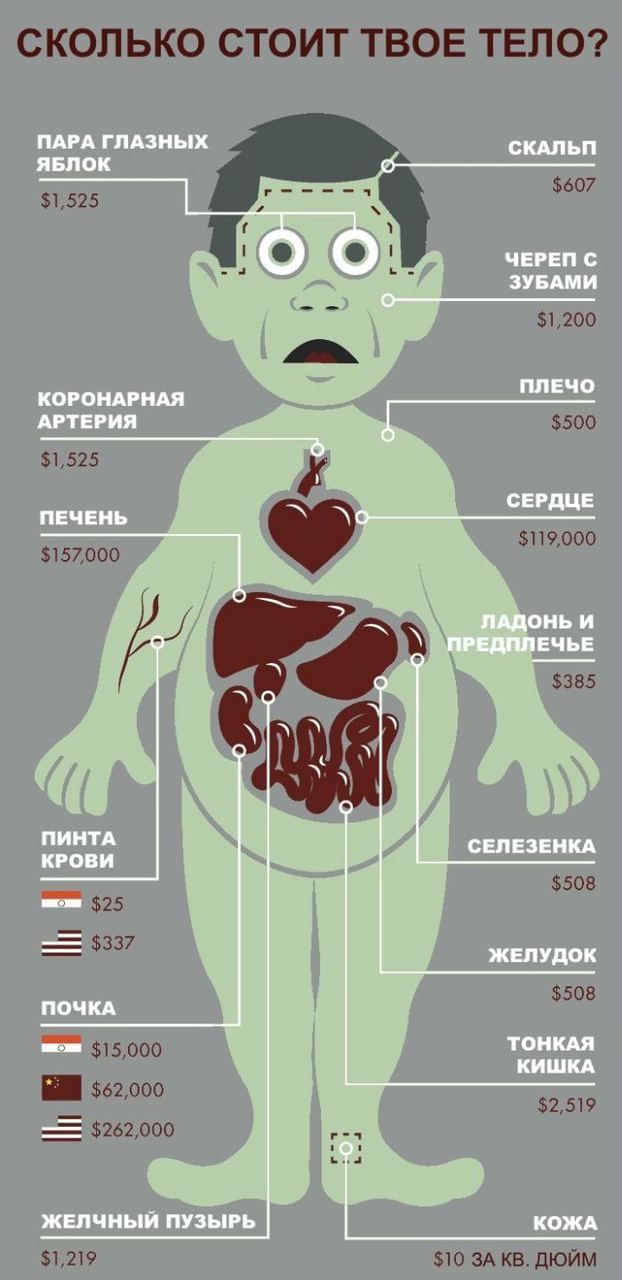 СКОЛЬКО СТОИТ ТВОЕ ТЕЛО ___ мы 51525 31200 500 51525 5119000 5157000 500 25 5 337 508 _ 5000 62000 _ 52519 _ 262000 512Х9 10 ЭА КВдЮЙМ