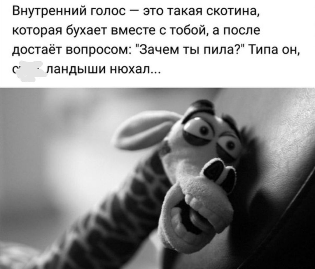 Внутренний голос это такая скотина которая бухает вместе с тобой а после достаёт вопросом Зачем ты пила Типа он с ландыши нюхал