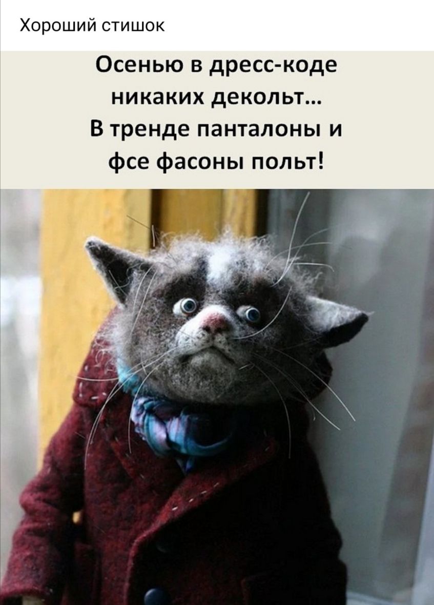 Хороший стишок Осенью в дресс коде никаких декольт В тренде панталоны и фсе фасоны польт