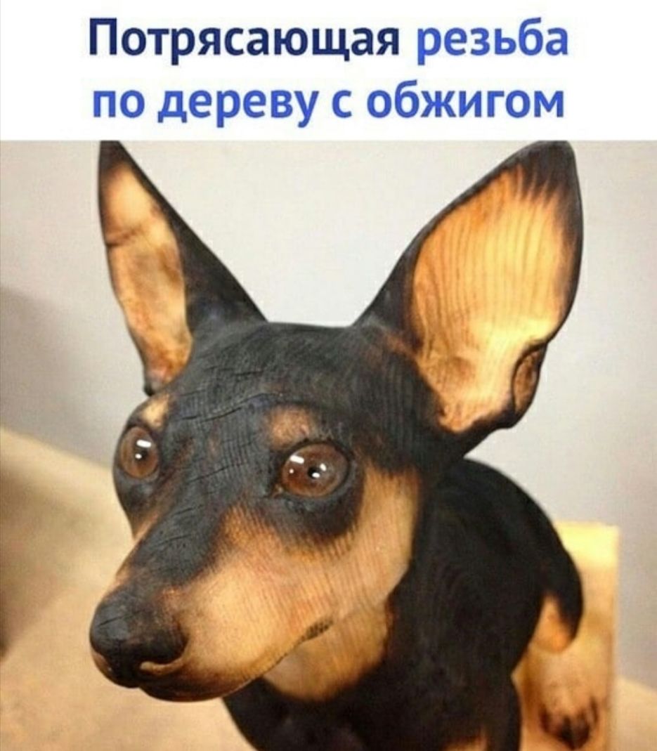 Потрясающая резьба по дереву с обжигом