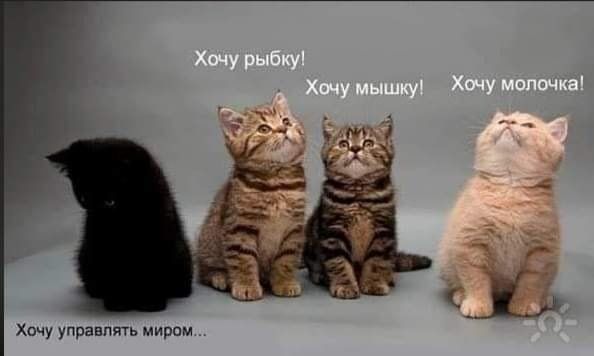 Хочу управпчть мирам