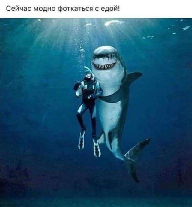 Сейчас модно фоткаться с едой