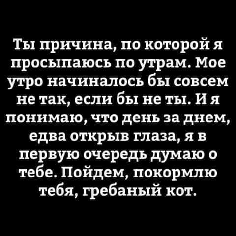 Ты причина по которой я просыпаюсь по утрам Мое утро начиналось бы совсем не так если бы не ты И я понимаю что день за днем едва открыв глаза я в первую очередь думаю о тебе Пойдем покормлю тебя гребаный кот
