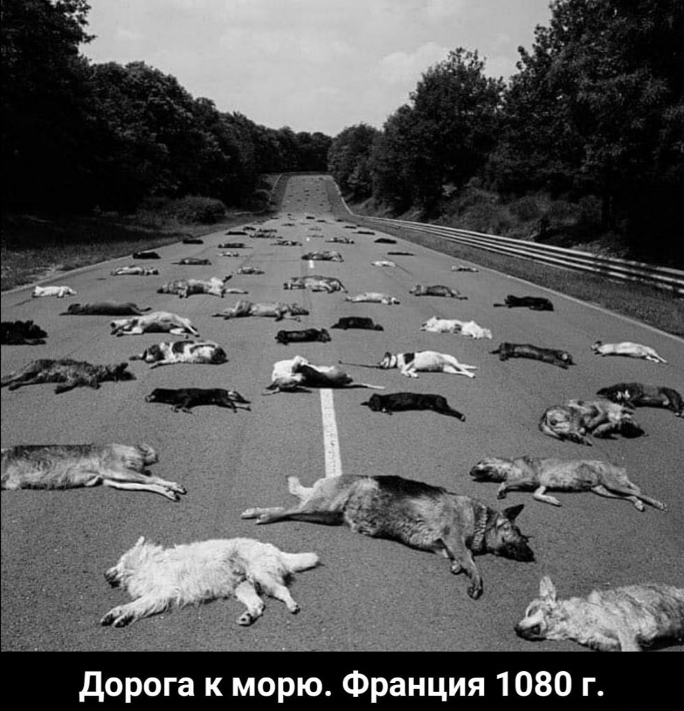 дорога к морю Франция 1080 г