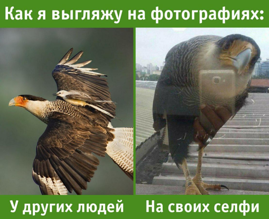 Как я выгляжу на фотографиях _ У дРУгих людей _На своих селфи
