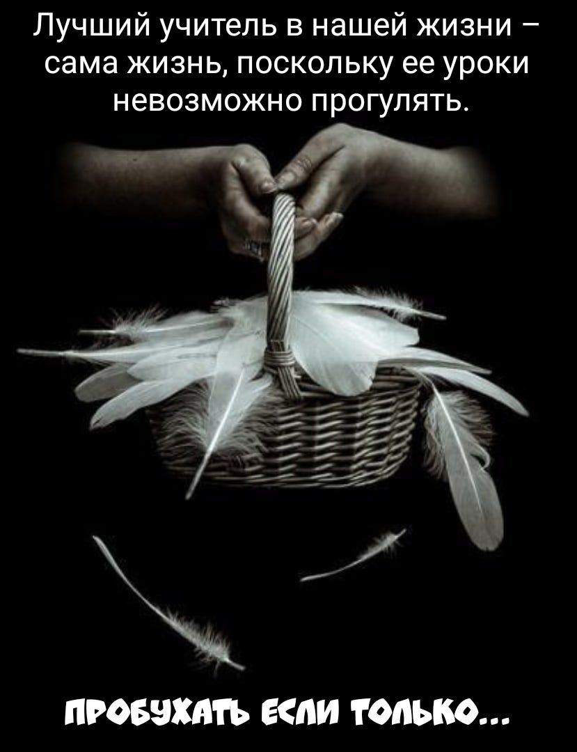 Лучший учитель в нашей жизни сама жизнь поскольку ее уроки невозможно прогулять ПРОБЭХМЪ пи ТОЛЬКО