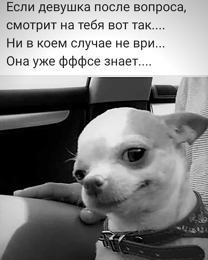 Если девушка после вопроса смотрит на тебя вот так Ни в коем случае не ври Она уже фффсе знает