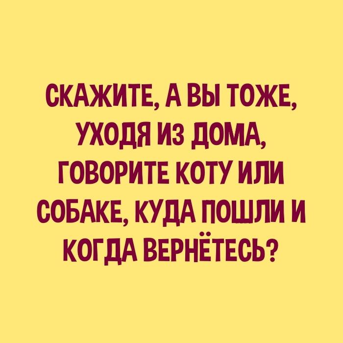 скджитв А вы тоже уходя из дОМА говоритв коту или совдкв КУДА пошли и когдА ВЕРНЁТЕОЬ