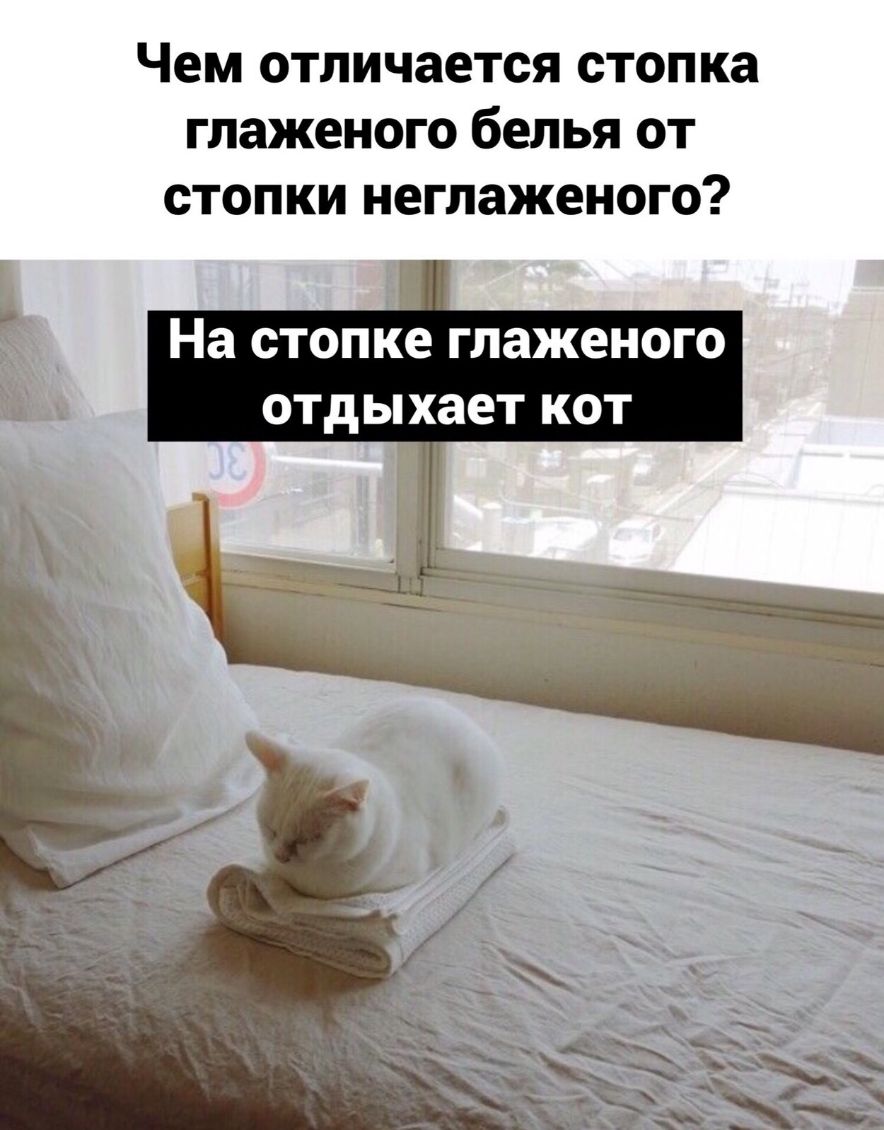 Чем отличается стопка гпаженого белья от стопки неглаженого На СТОПКЕ ГЛЗЖЕНОГО отдыхает КОТ